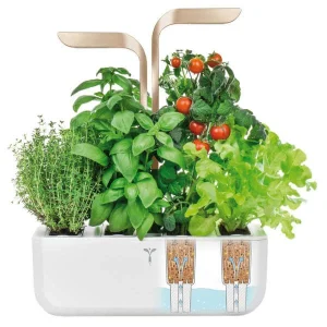 Véritable Jardin D’herbes Aromatiques – Appareils De Cuisine Divers site pas cher 7