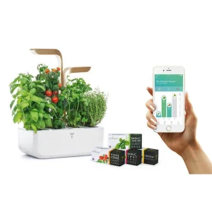 Véritable Jardin D’herbes Aromatiques – Appareils De Cuisine Divers site pas cher 9