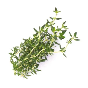 Véritable Herbes Aromatiques – Appareils De Cuisine Divers grossiste 6